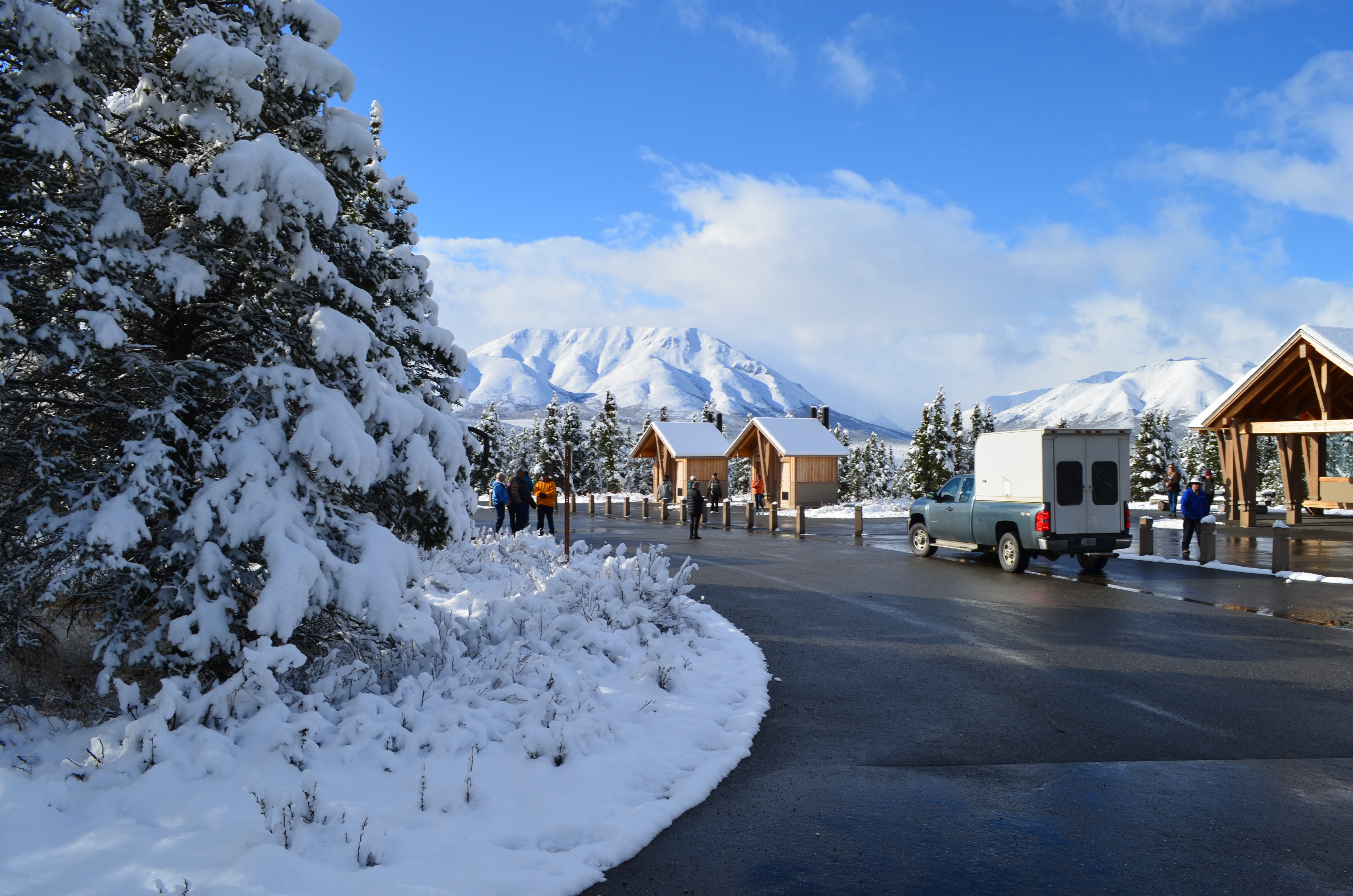 ./2017/08 - Alaska Cruise/03 - Denali/DSC_0266.JPG